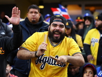 The Las Aguilas Cibaenas fans cheer during the baseball game against the Los Tigres del Licey at Citi Field in Corona, N.Y., on November 10,...