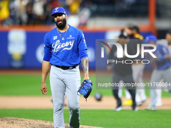 Los Tigres del Licey pitcher Jean Carlos Mejia #40 comes off the field as Las Aguilas Cibaenas players celebrate a 3-2 win in a baseball gam...