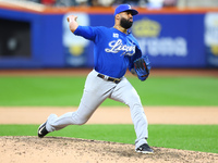 Los Tigres del Licey pitcher Jean Carlos Mejia #40 throws during the ninth inning of a baseball game against Las Aguilas Cibaenas at Citi Fi...