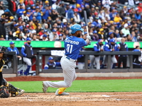 Liover Peguero #31 of Los Tigres del Licey bats during the third inning of a baseball game against Las Aguilas Cibaenas at Citi Field in Cor...