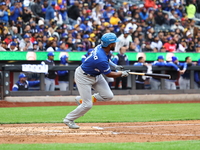 Liover Peguero #31 of Los Tigres del Licey bats during the third inning of a baseball game against Las Aguilas Cibaenas at Citi Field in Cor...