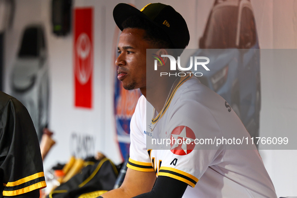 Alfredo Reyes #62 of Las Aguilas Cibaenas sits on the bench during the third inning of a baseball game against Los Tigres del Licey at Citi...