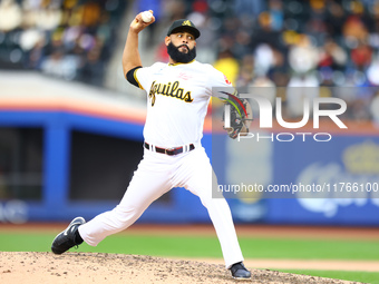 Las Aguilas Cibaenas pitcher Richard Rodriguez #19 throws during the eighth inning of a baseball game against Los Tigres del Licey at Citi F...