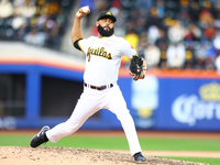 Las Aguilas Cibaenas pitcher Richard Rodriguez #19 throws during the eighth inning of a baseball game against Los Tigres del Licey at Citi F...