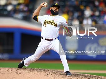 Las Aguilas Cibaenas pitcher Richard Rodriguez #19 throws during the eighth inning of a baseball game against Los Tigres del Licey at Citi F...