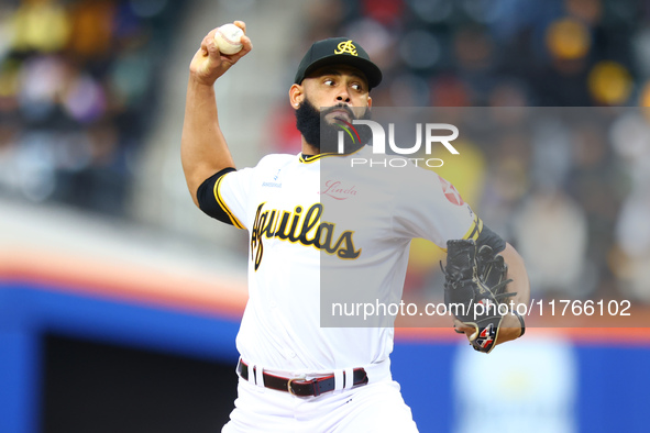 Las Aguilas Cibaenas pitcher Richard Rodriguez #19 throws during the eighth inning of a baseball game against Los Tigres del Licey at Citi F...