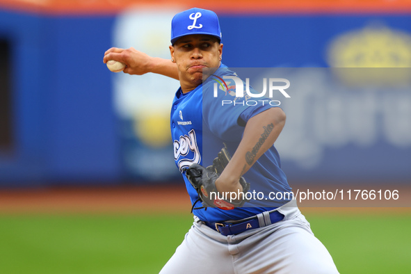 Los Tigres del Licey pitcher Juan Then #49 throws during the fifth inning of a baseball game against Las Aguilas Cibaenas at Citi Field in C...