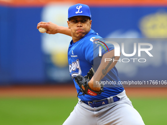 Los Tigres del Licey pitcher Juan Then #49 throws during the fifth inning of a baseball game against Las Aguilas Cibaenas at Citi Field in C...