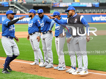 Los Tigres del Licey players and coaches are introduced before the baseball game against Las Aguilas Cibaenas at Citi Field in Corona, N.Y.,...