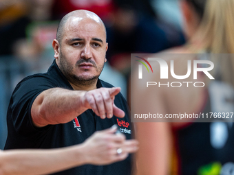 Rachid Meziane in action during the FIBA 2025 European Women's Basketball Championship Qualifiers Group C match between Poland and Belgium a...