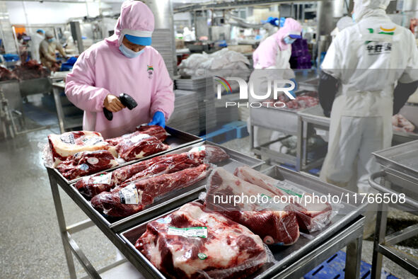 Workers divide beef at a workshop of a beef processing enterprise in Binzhou, China, on November 11, 2024. Global food prices rise in Octobe...