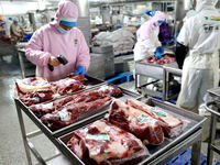 Workers divide beef at a workshop of a beef processing enterprise in Binzhou, China, on November 11, 2024. Global food prices rise in Octobe...