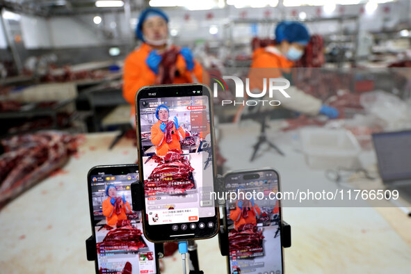 Workers divide beef at a workshop of a beef processing enterprise in Binzhou, China, on November 11, 2024. Global food prices rise in Octobe...