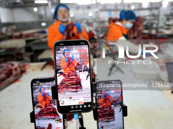 Workers divide beef at a workshop of a beef processing enterprise in Binzhou, China, on November 11, 2024. Global food prices rise in Octobe...