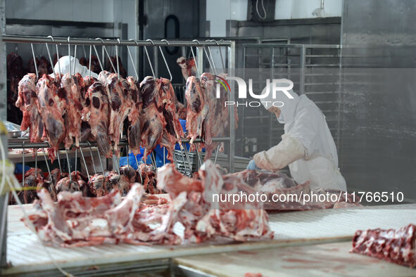 Workers divide beef at a workshop of a beef processing enterprise in Binzhou, China, on November 11, 2024. Global food prices rise in Octobe...