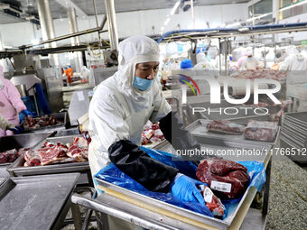 Workers divide beef at a workshop of a beef processing enterprise in Binzhou, China, on November 11, 2024. Global food prices rise in Octobe...