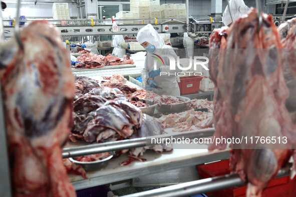 Workers divide beef at a workshop of a beef processing enterprise in Binzhou, China, on November 11, 2024. Global food prices rise in Octobe...