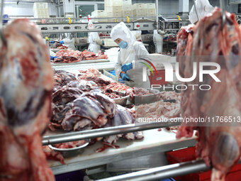 Workers divide beef at a workshop of a beef processing enterprise in Binzhou, China, on November 11, 2024. Global food prices rise in Octobe...