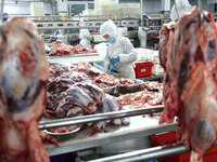 Workers divide beef at a workshop of a beef processing enterprise in Binzhou, China, on November 11, 2024. Global food prices rise in Octobe...