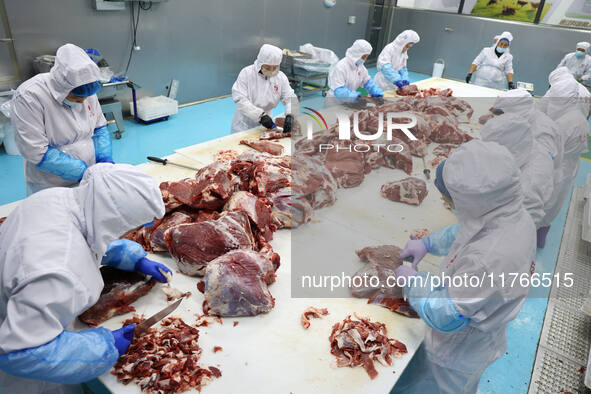 Workers divide beef at a workshop of a beef processing enterprise in Binzhou, China, on November 11, 2024. Global food prices rise in Octobe...