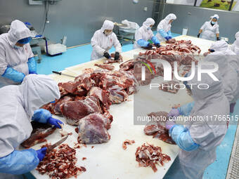 Workers divide beef at a workshop of a beef processing enterprise in Binzhou, China, on November 11, 2024. Global food prices rise in Octobe...