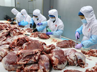 Workers divide beef at a workshop of a beef processing enterprise in Binzhou, China, on November 11, 2024. Global food prices rise in Octobe...