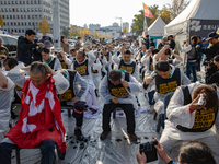 Members of the Cargo Truckers Solidarity Division of the Korean Public Service and Transport Workers' Union under the Korean Confederation o...