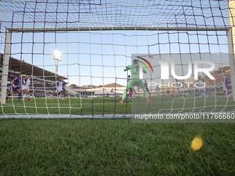 Montipo participates in the Italian Serie A football match between Fiorentina and Hellas Verona in Florence, Italy, on November 10, 2024, at...