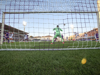 Montipo participates in the Italian Serie A football match between Fiorentina and Hellas Verona in Florence, Italy, on November 10, 2024, at...