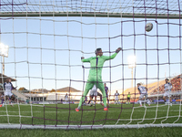 Montipo participates in the Italian Serie A football match between Fiorentina and Hellas Verona in Florence, Italy, on November 10, 2024, at...