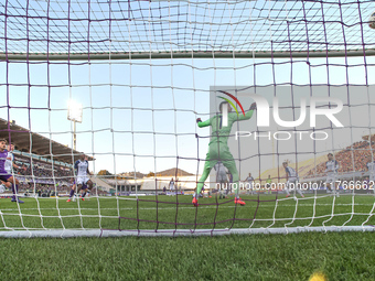 Montipo participates in the Italian Serie A football match between Fiorentina and Hellas Verona in Florence, Italy, on November 10, 2024, at...