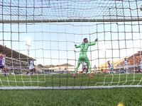 Montipo participates in the Italian Serie A football match between Fiorentina and Hellas Verona in Florence, Italy, on November 10, 2024, at...