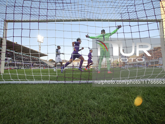 Montipo participates in the Italian Serie A football match between Fiorentina and Hellas Verona in Florence, Italy, on November 10, 2024, at...