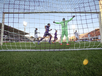 Montipo participates in the Italian Serie A football match between Fiorentina and Hellas Verona in Florence, Italy, on November 10, 2024, at...