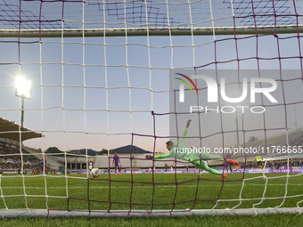 Montipo participates in the Italian Serie A football match between Fiorentina and Hellas Verona in Florence, Italy, on November 10, 2024, at...