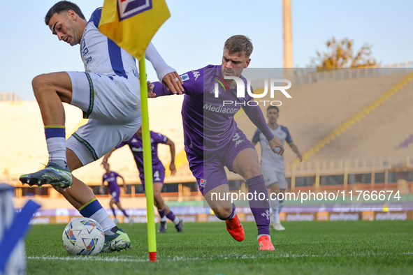 Coppola and Lucas Beltran participate in the Italian Serie A football match between Fiorentina and Hellas Verona in Florence, Italy, on Nove...