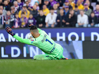 Montipo participates in the Italian Serie A football match between Fiorentina and Hellas Verona in Florence, Italy, on November 10, 2024, at...