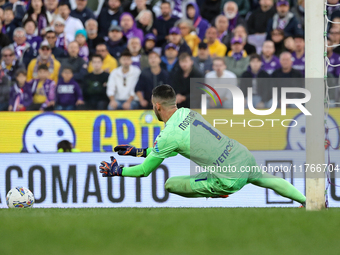 Montipo participates in the Italian Serie A football match between Fiorentina and Hellas Verona in Florence, Italy, on November 10, 2024, at...