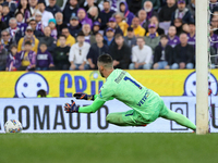 Montipo participates in the Italian Serie A football match between Fiorentina and Hellas Verona in Florence, Italy, on November 10, 2024, at...