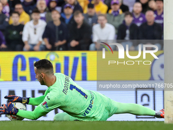 Montipo participates in the Italian Serie A football match between Fiorentina and Hellas Verona in Florence, Italy, on November 10, 2024, at...