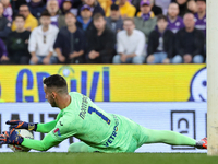 Montipo participates in the Italian Serie A football match between Fiorentina and Hellas Verona in Florence, Italy, on November 10, 2024, at...