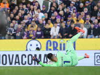 Montipo participates in the Italian Serie A football match between Fiorentina and Hellas Verona in Florence, Italy, on November 10, 2024, at...