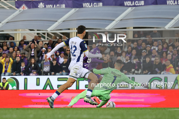 Montipo participates in the Italian Serie A football match between Fiorentina and Hellas Verona in Florence, Italy, on November 10, 2024, at...