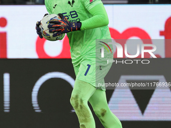 Lorenzo Montipo of Hellas Verona FC during  the Italian Serie A football match between ACF Fiorentina and Hellas Verona FC ,on November 10 ,...