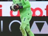 Lorenzo Montipo of Hellas Verona FC during  the Italian Serie A football match between ACF Fiorentina and Hellas Verona FC ,on November 10 ,...