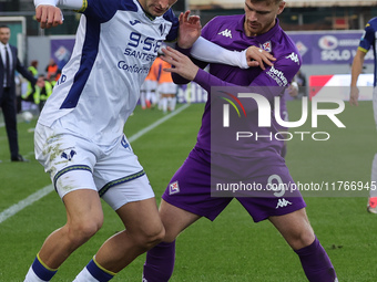 Lucas Beltran of ACF Fiorentina and Diego Coppola of Hellas Verona FC ,battle for the ball during the Italian Serie A football match between...