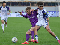 Lucas Beltran of ACF Fiorentina and Domagoj Bradaric of Hellas Verona FC ,battle for the ball during the Italian Serie A football match betw...