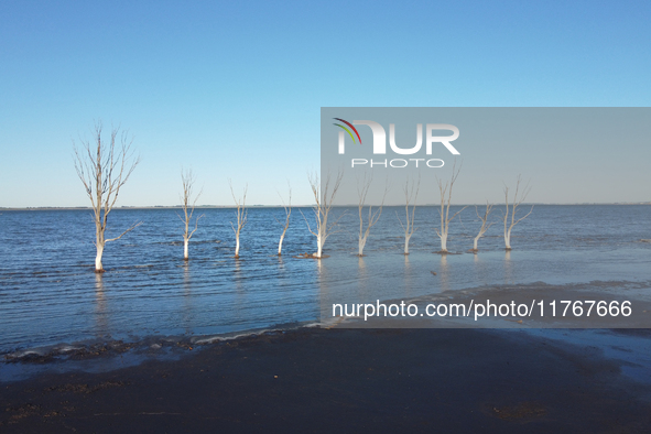 Images show Villa Epecuen, a flooded Argentine tourist town located in the Adolfo Alsina district, Buenos Aires province. 