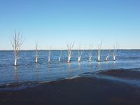 Images show Villa Epecuen, a flooded Argentine tourist town located in the Adolfo Alsina district, Buenos Aires province. (