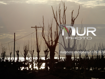 Images show Villa Epecuen, a flooded Argentine tourist town located in the Adolfo Alsina district, Buenos Aires province. (